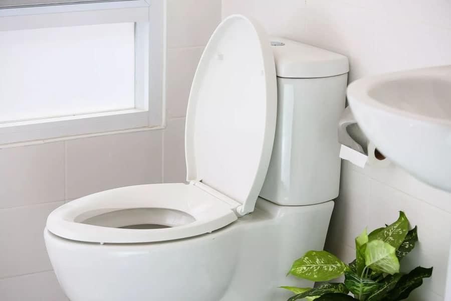 Blue Frog Plumbing Perth Toilet Plumbing