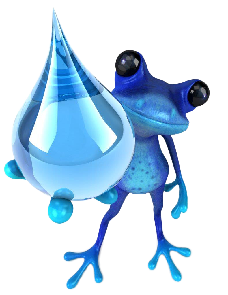 Blu Frog Plumbing