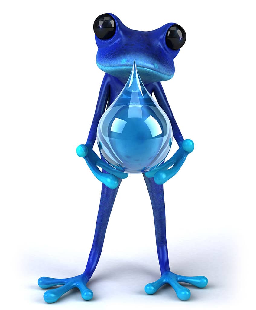 Blu Frog Plumbing Hug Water
